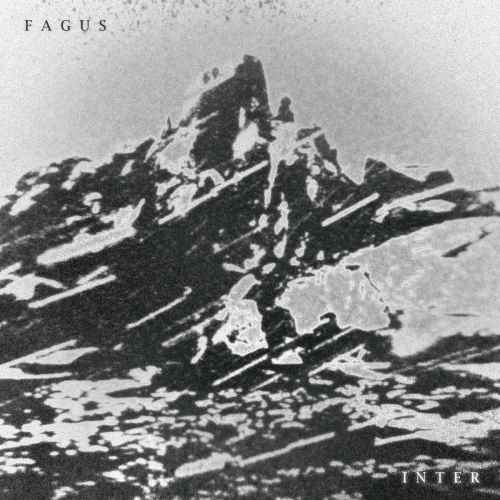 FAGUS - Inter DIGI